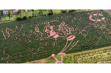 Est-il idiot d'appeler cette dédicace @NHLBlackhawks par Richardson Adventure Farm ...