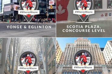 RG @canadiantire. Trouvez une découpe de carton #WheresWayne et postez une photo sur un ...