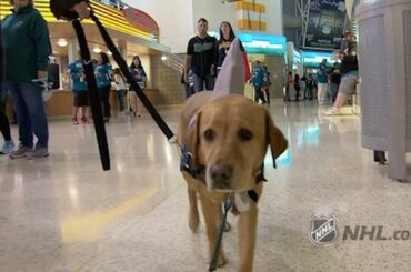 Quand l'équipe humaine a besoin de soutien dans le jeu 6. #BecauseItsTheCup #StanleyCup ...