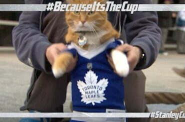 Le maillot est un ajustement parfait. #BecauseItsTheCup #StanleyCup ...