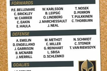 Ils ont une équipe! Découvrez toutes les sélections #VegasDraft ....