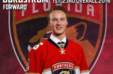 Une saison, un championnat.
Henrik Borgstrom est 1/1 en Amérique du Nord, gagnant du ...