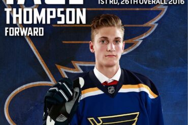 Un peu d’expérience dans la LAH, @ tommer97 espère percer le plus vite possible ...