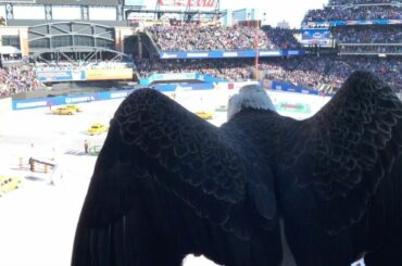 ++ #WinterClassic = ...