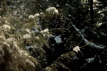 10 400 gallons d'eau ont été gelés pour créer la patinoire de la saison 2018 de la LNH ...