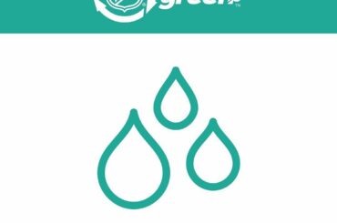 La LNH a restauré plus de 88 millions de gallons d'eau dans les ruisseaux à travers ...