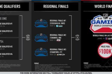 Aujourd'hui est le premier jour du championnat mondial de jeu de la LNH!

Bonne chance et don '...