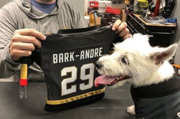 Bark-Andre Furry est pompé pieusement que les @vegasgoldenknights sont dirigés vers ...