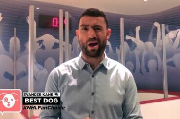 Les nominés pour le meilleur chien ... Gustl Kopitar (Anze Kopitar)
@harvandcharlie (@ 28cg ...