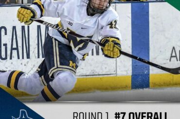 Les @Canucks ont eux-mêmes un nouveau D-man à Quinn Hughes. #NHLDraft ...
