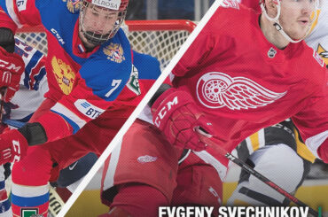 Il semble que ces lignées ne sortent pas de la LNH et nous sommes plus que satisfaits de ...