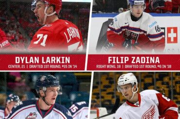 Le pipeline semble plutôt solide pour les @detroitredwings. # 31in31 ...