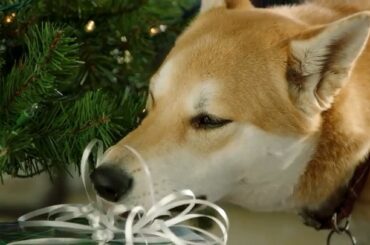 "Je veux te mettre en échec si fort maintenant." si cela vous donne envie de sortir ...