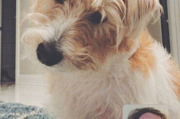 Avant-match, le discours de chiot de @ mr_riziy opère-t-il sa magie sur @artemiypanarin pour le jeu 3? ...