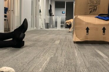 Devinez qui d'autre a eu une grosse seconde moitié de la saison? Barclay, @stlbluespup #Stanl ...