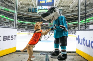  Laissez-moi vous raconter mon meilleur ami #StanleyCup ...