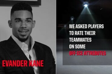 Du combo cheveux / barbe de @ brent_burns_88 au sens de l'humour de @ jpav8, @ evander9kan ...