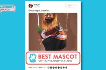 Est-ce que @grittynhl est la meilleure mascotte de la ligue? Tu décides! VOTEZ À BIO #NHLFanChoi ...