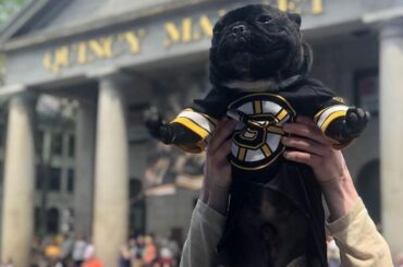 Naaaaaaaants ingonyama bagithi Babaaaa #StanleyCup (@ gehrig28) ...