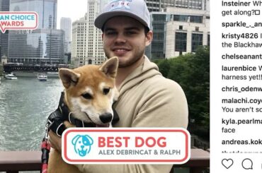 Quel joueur a le meilleur chien de la ligue? Le #NHLFanCho le plus chaudement disputé ...