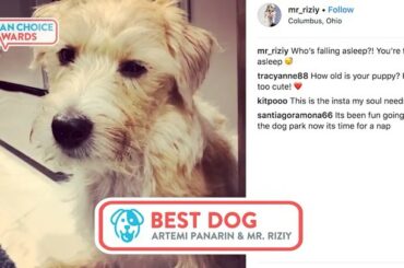 De l'entraînement avec son père, @artemiypanarin, à la pratique de sa pose d'ours, @mr_ri ...