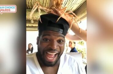 Suivez-vous @subbanator? Le défenseur @predsnhl est l’un des meilleurs au monde.