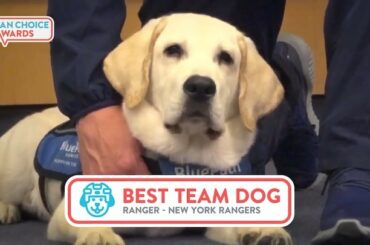 The OGB: Original Good Boy Les @nyrangers ont commencé la tendance avec Ranger, mais ...