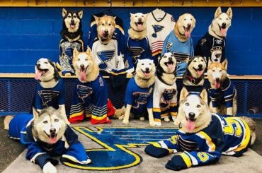 Avons-nous l'air nerveux?! #StanleyCup #MyPlayoffsMoment (@breakawaysiberians) ...