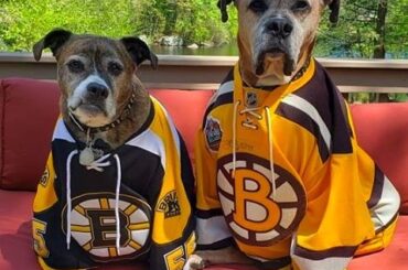 Retrouvez les fans de @nhlbruins en attente de la finale #StanleyCup ... #MyPlayoffs ...