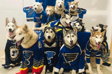 * hurle Gloria * #StanleyCup #MyPlayoffsMoment (@breakawaysiberians) ...