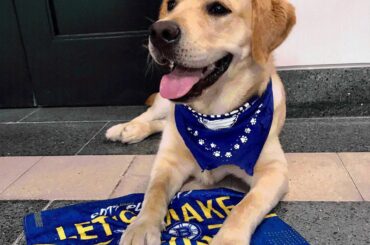 @stlbluespup est prêt pour le jeu 5! #Coupe Stanley...