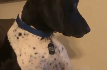 "Pas maintenant humain, la finale #StanleyCup est activée." #StanleyCup #MyPlayoffsMoment (@d ...