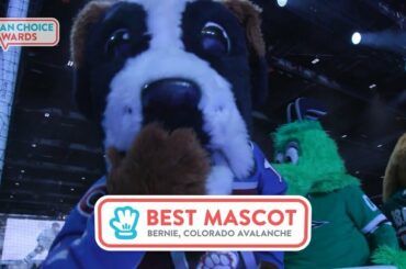 Bernie est le meilleur des garçons, mais est-il la meilleure mascotte de la ligue? VOTEZ EN ...