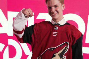 Présentation des @arizonacoyotes les plus récents, @vsoderstromm! #NHLDraft ...