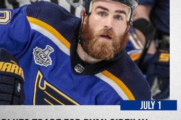 Quel voyage pour les @stlouisblues vers la #StanleyCup! SWIPE ...