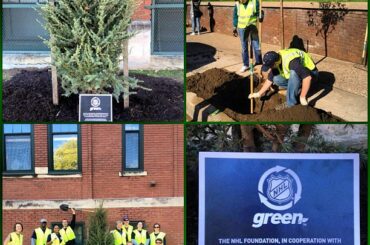Aujourd'hui, #NHLGreen a planté 30 arbres (pour 30 équipes) à #Pittsburgh. Apprenez pourquoi: www ....