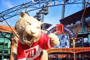 On dirait que les tigres sont des fans des @detroitredwings. #HockeytownWinter ...