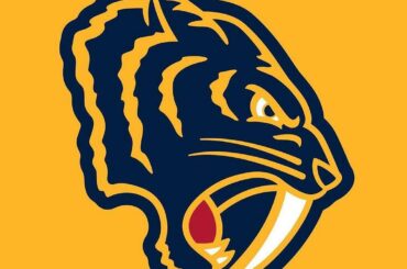 Jetez un coup d'oeil au patch d'épaule de @ predsnhl's pour le #WinterClassic! (: ...