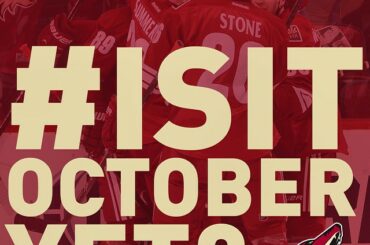 Rendez-vous sur LNH.com pour voir la journée @arizonacoyotes '30-30 'aujourd'hui. #Coyotes ...