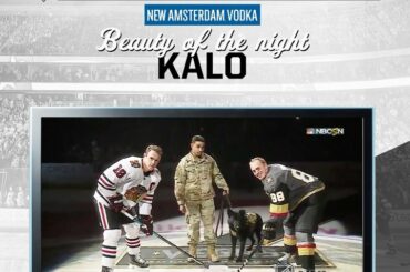 Pupper Puck Drop Kalo, vous êtes la beauté de la nuit. #WNH ...