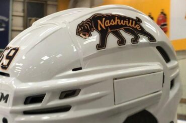 Un petit plus pour le #WinterClassic!

@PredsNHL vs @DallasStars D du Nouvel An ...