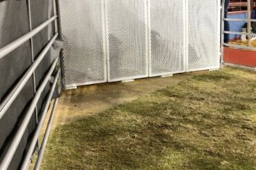 Les joueurs de hockey ne sont pas les seuls excités pour demain. #WinterClassic ...