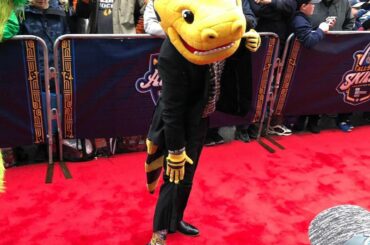 SASHAY AWAY! Les mascottes ont l'air plus pimpantes que jamais. #NHLAllStar ...