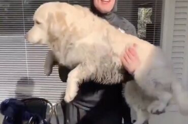 Mikko Rantanen et doggo restent en forme. #HockeyAtHome (@cradnec, @coloradoavalan ...
