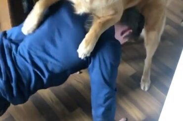 What kind of TikTok is this?  #HockeyAtHome ( @joeyandy19)...