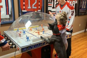 Identifiez un ami que vous auriez battu dans le hockey à bulles #HockeyAtHome (TW / PeterBondra12) ...