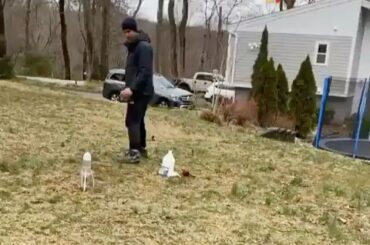 @ thomasgreiss1 trouve de nombreuses façons de rester occupé. #HockeyAtHome (: @th ...