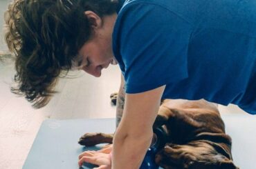 "Apprendre un chien à la baisse avec un vrai pro" - Mitch Marner #HockeyAtHome (: @marner _...