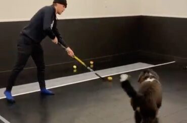 Leonard with the lockdown defense on Connor McDavid. #HockeyAtHome (: @mcdavid97...