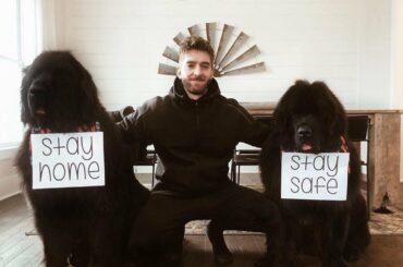 Les chiots ont parlé. #HockeyAtHome (@ matt30murray, @penguins) ...